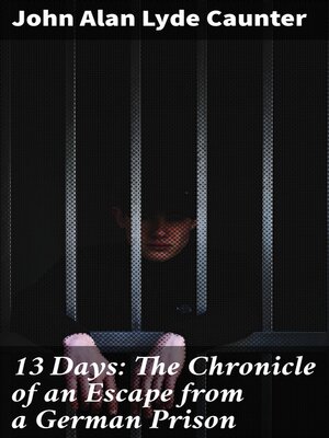 cover image of 13 Days